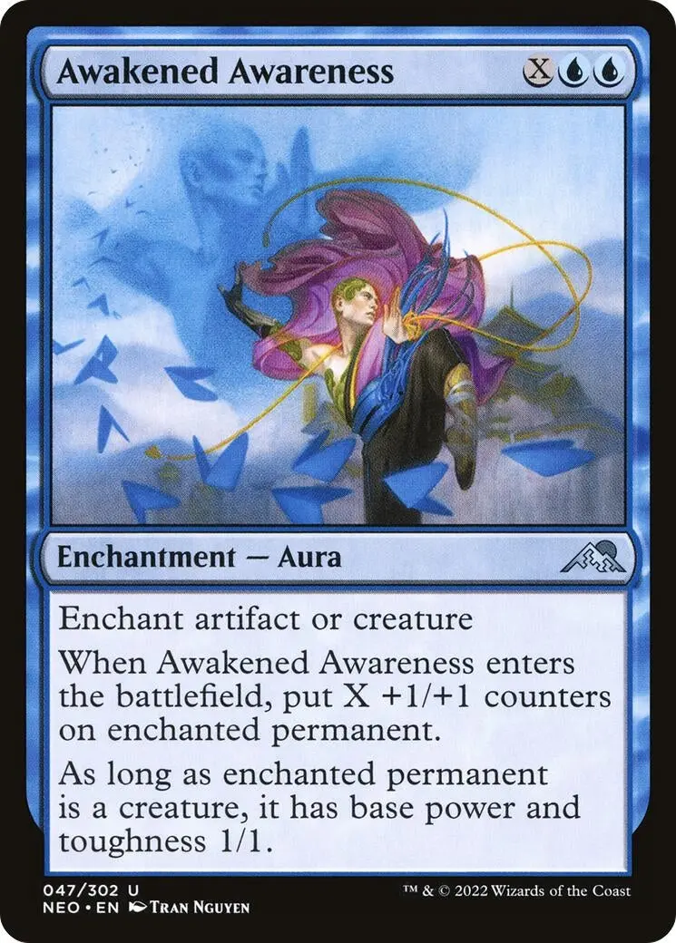 Awakened Awareness (47) (Neo) 1