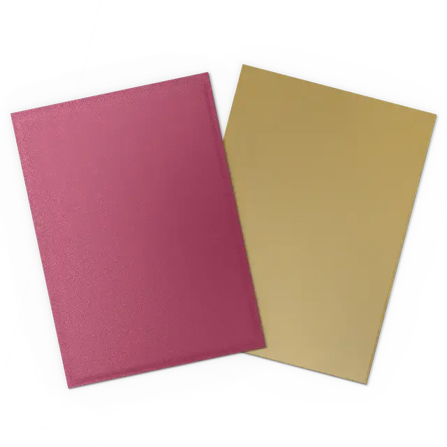 Dragon Shield Deck Protector - Pomegranate & Gold (Dual Matter) 1