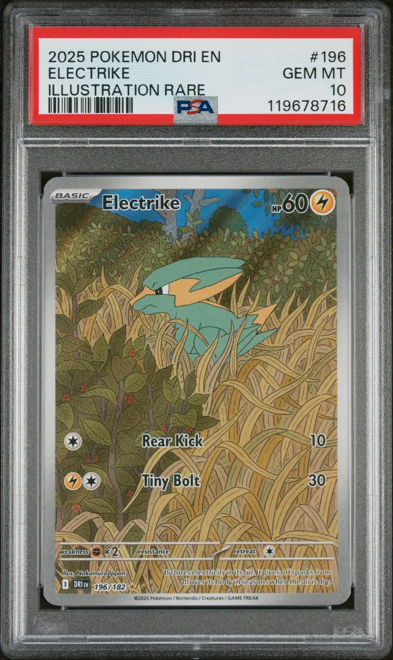 Electrike Illustration Rare 2025 Pokemon Dri En-Destined Rivals Psa Gem Mt 10 1