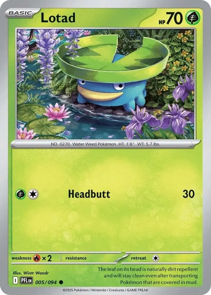 Lotad (005/094) (Pfl) 1