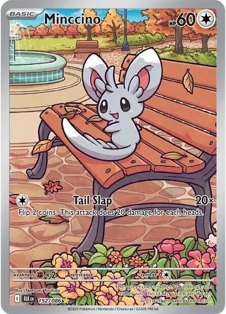 Minccino (152/086) (Blk) 1