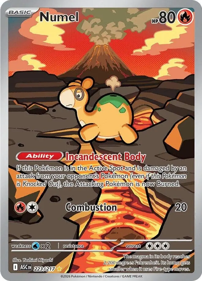Numel (223/217) (Asc) 1