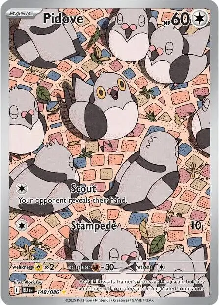 Pidove (148/086) (Blk) 1