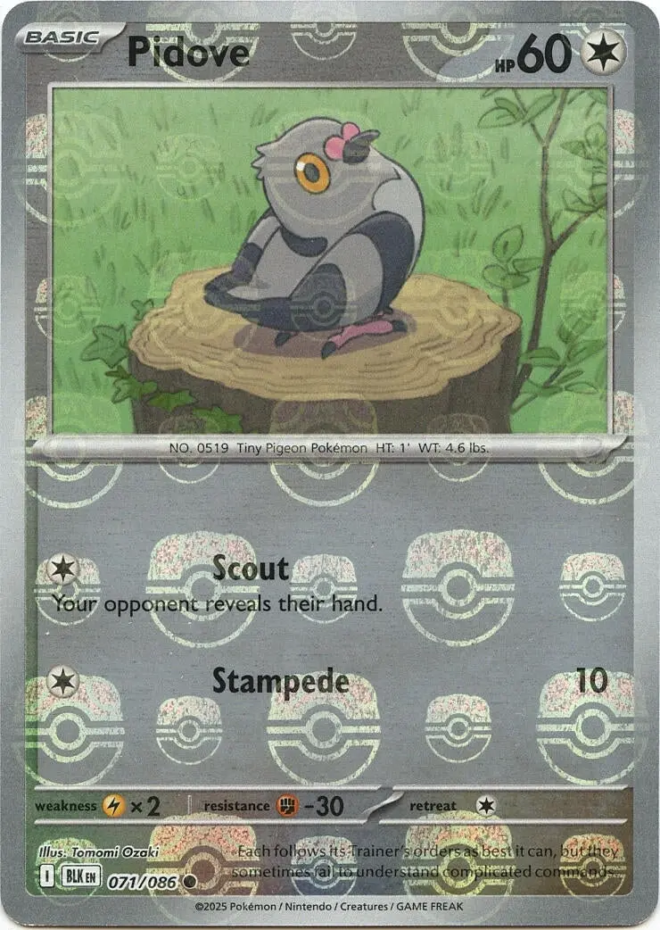 Pidove (Master Ball Pattern) (071/086) (Blk) 1