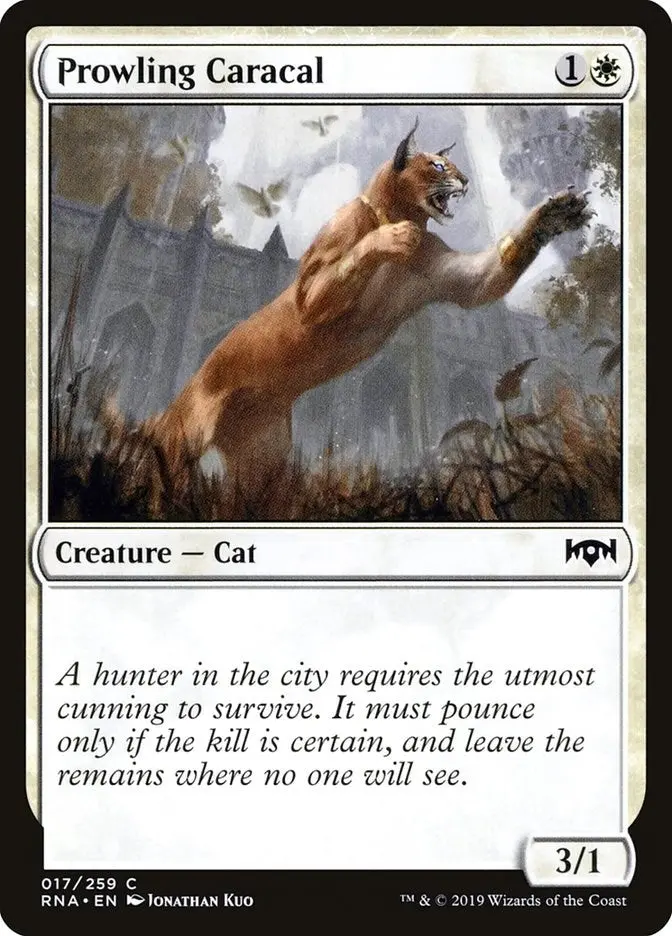 Prowling Caracal (17) (Rna) 1