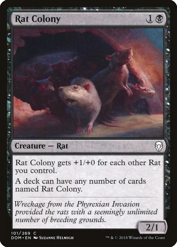 Rat Colony (101) (Dom) 1