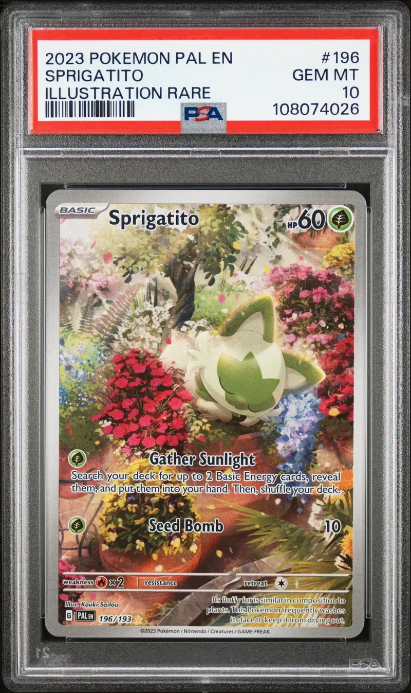 Sprigatito Illustration Rare 2023 Pokemon Pal En-Paldea Evolved Psa Gem Mt 10 1