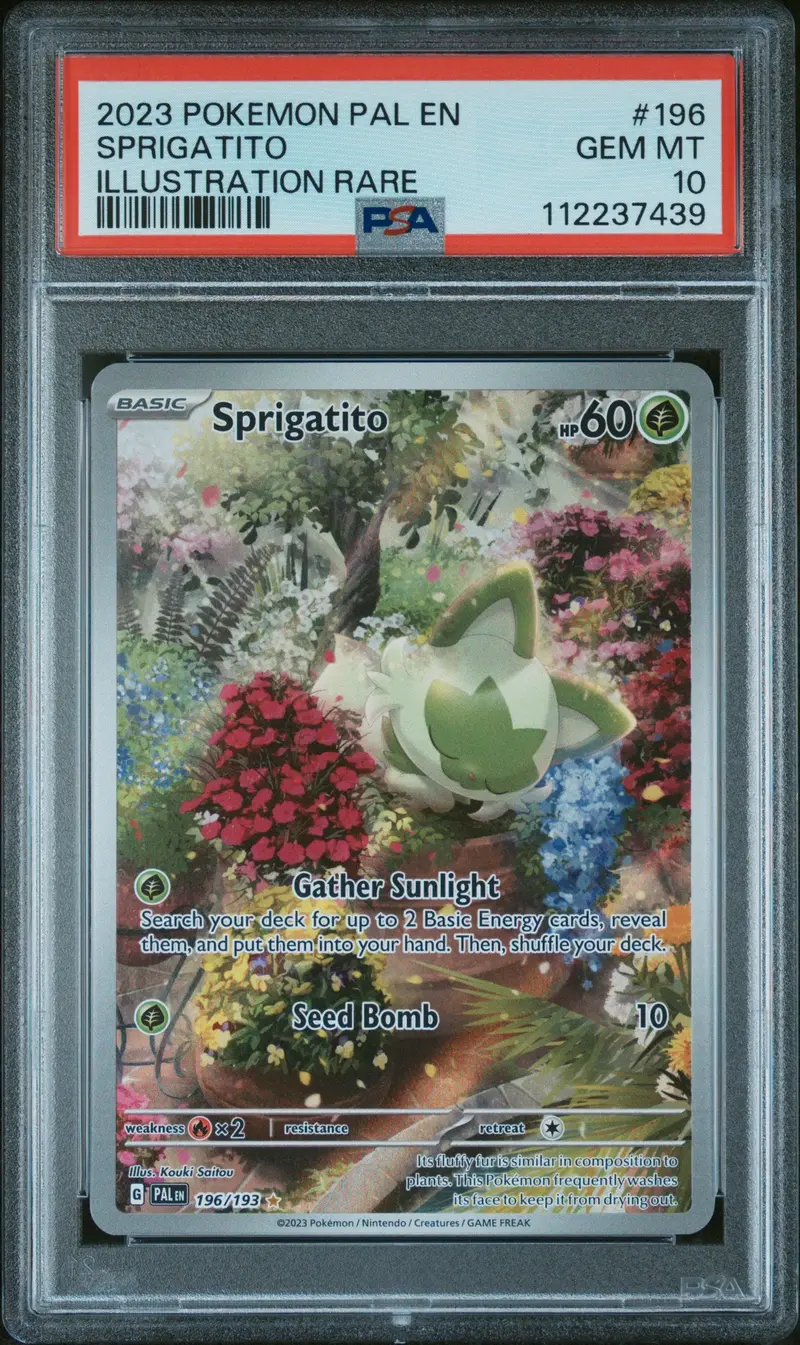 Sprigatito Illustration Rare 2023 Pokemon Pal En-Paldea Evolved Psa Gem Mt 10 1