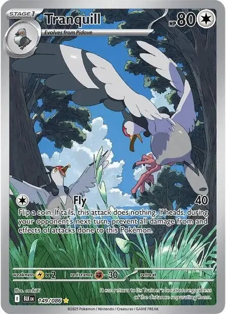 Tranquill (149/086) (Blk) 1